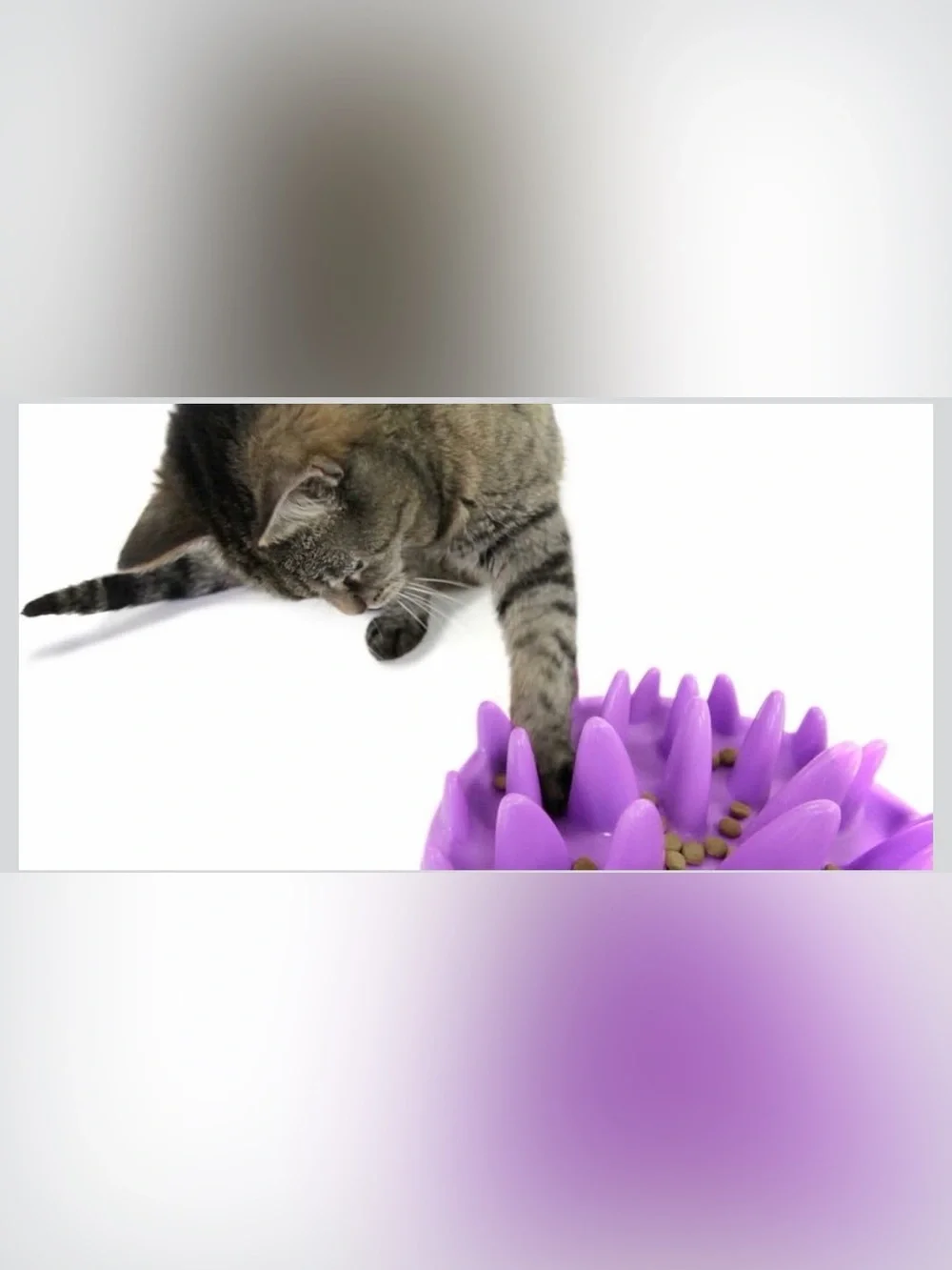 Cat/Small dog slow feeder/interactive toy